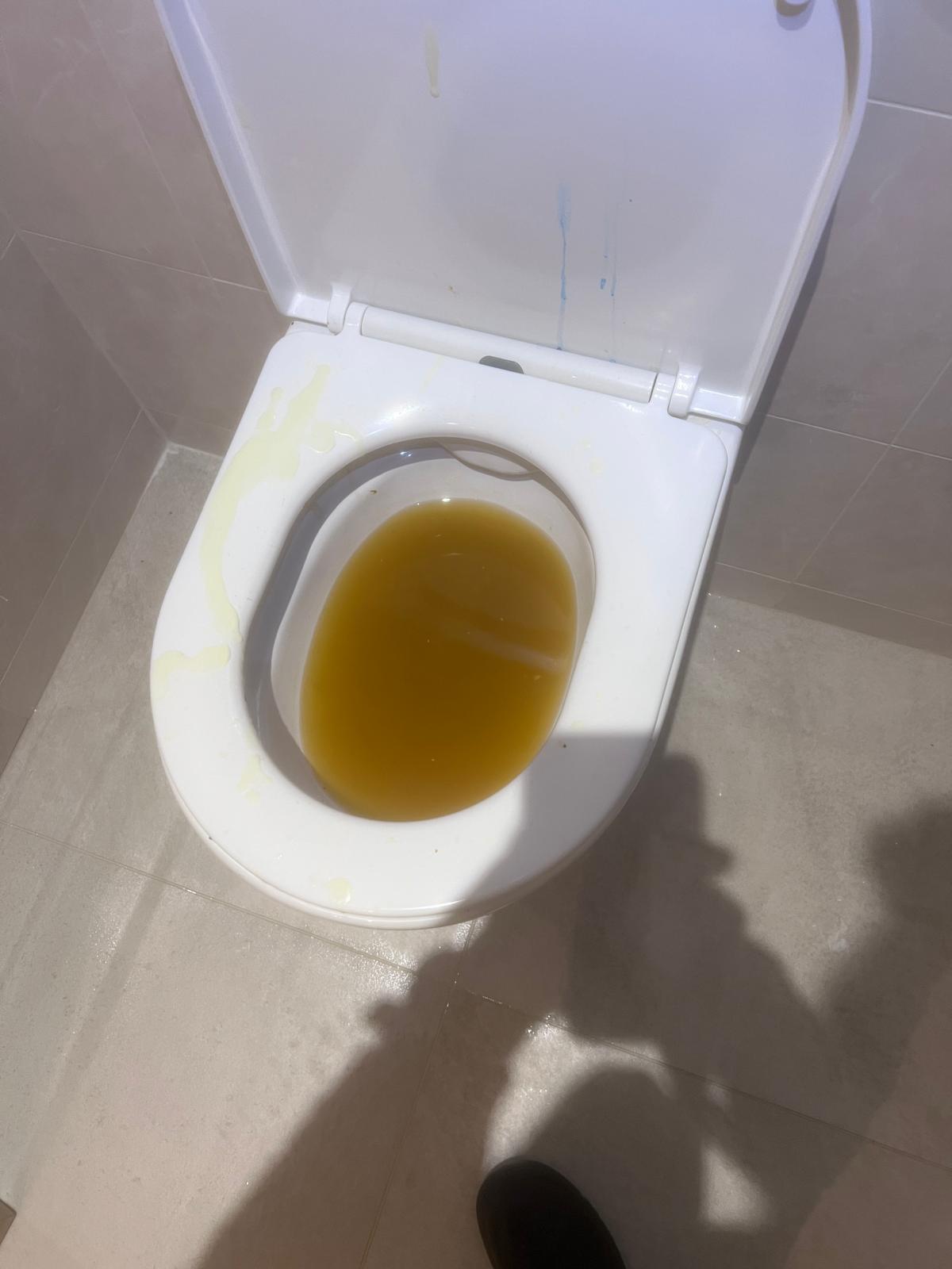 Canalisation avant debouchage par Plumber Deboucheur
