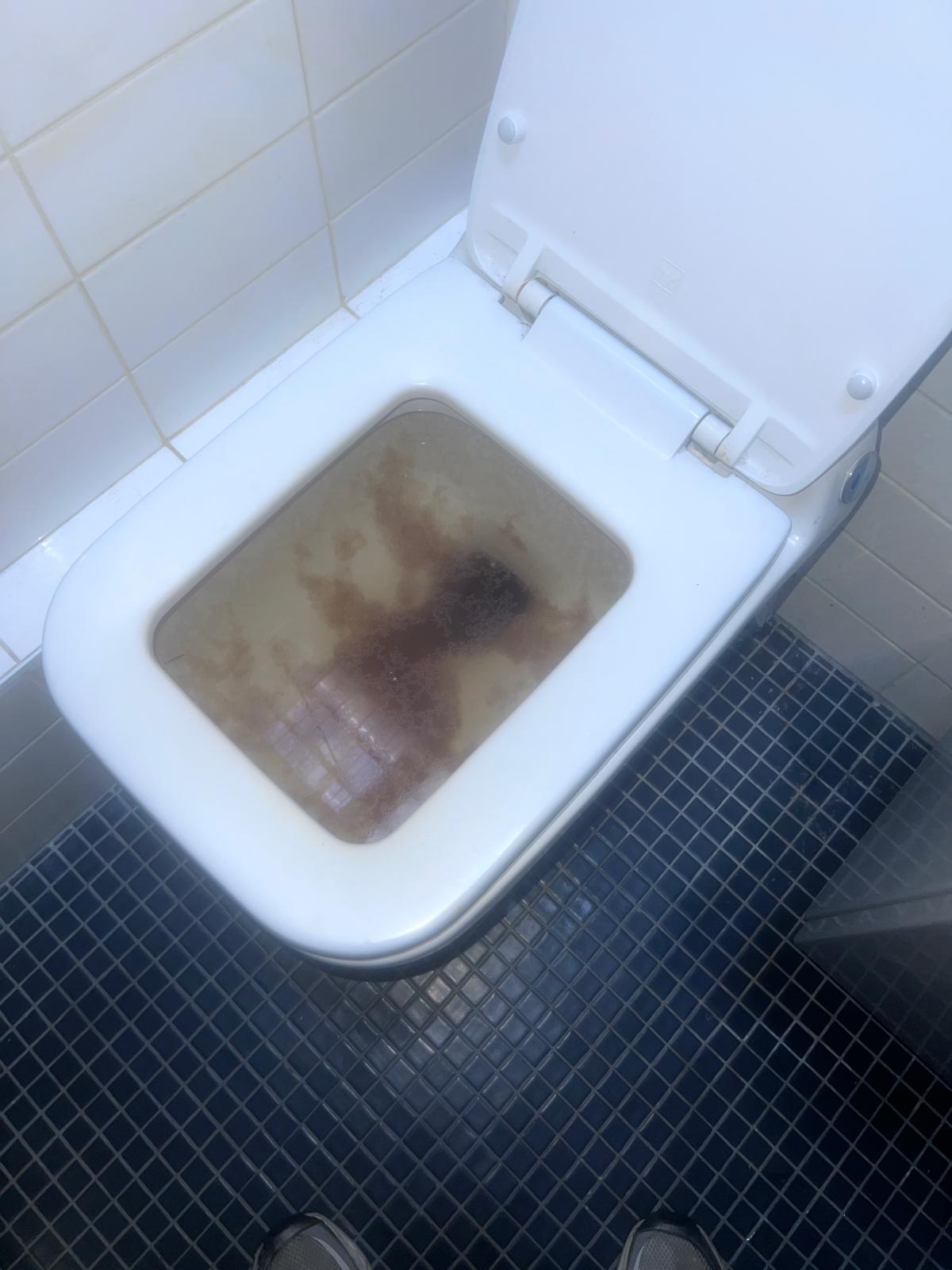 Canalisation avant debouchage par Plumber Deboucheur