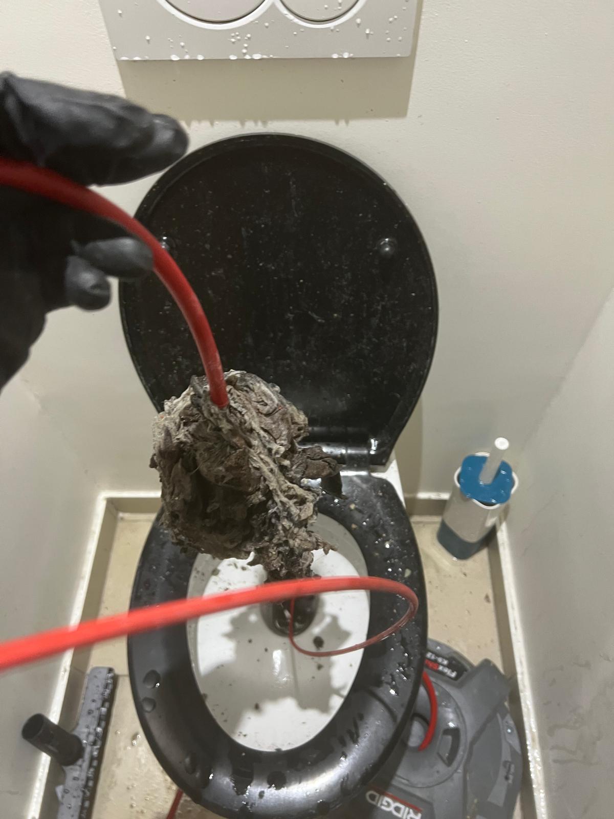 Débouchage de WC et sanibroyeur dans le Val-d'Oise