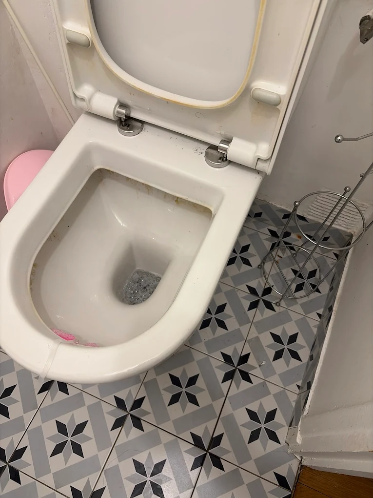 Cuvette de WC bouchée avant débouchage dans le Val-d'Oise